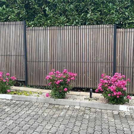 Roses Apartment Prijeten Apartma Za Dve Osebi Mengeš Eksteriør bilde