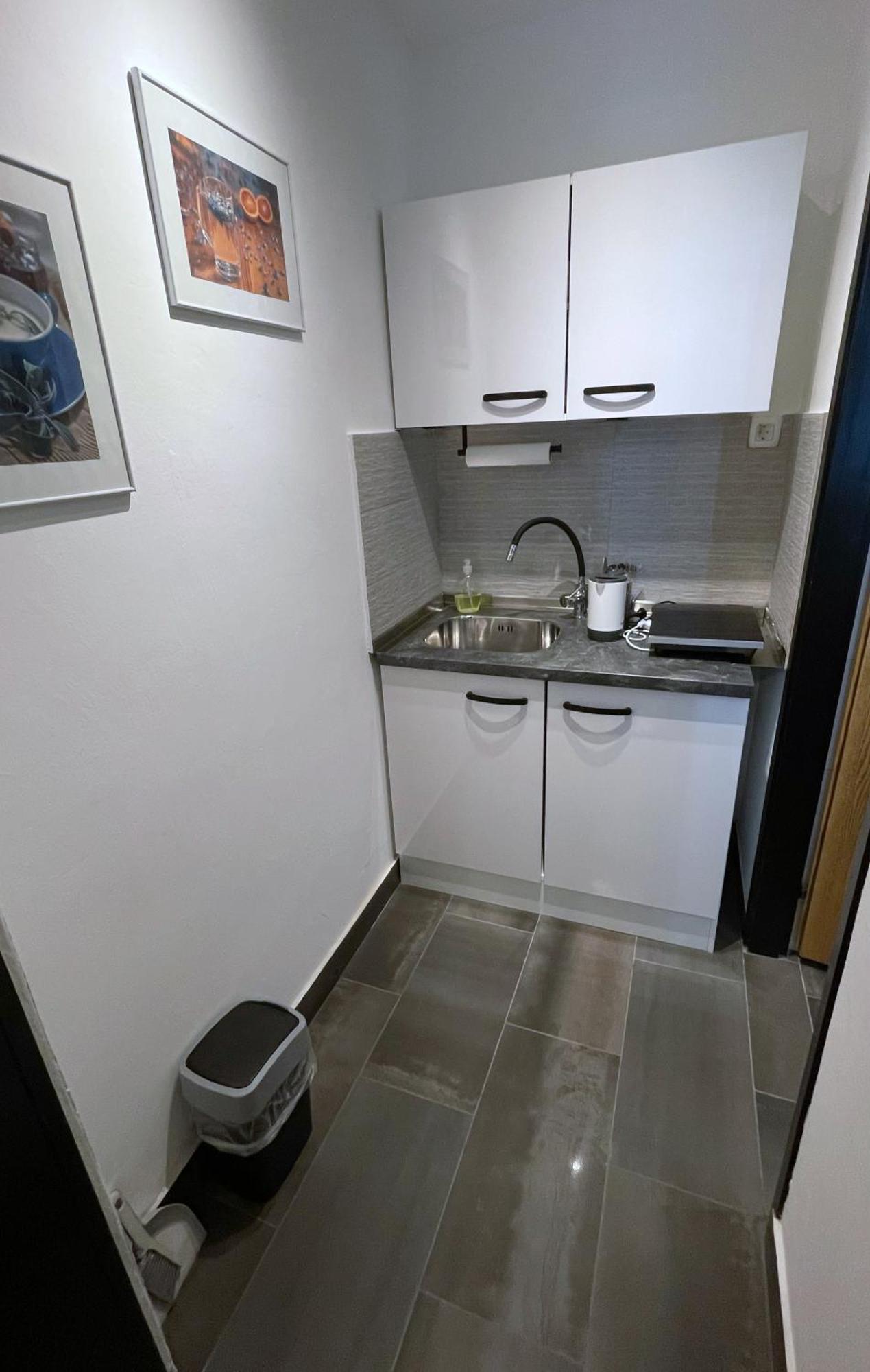 Roses Apartment Prijeten Apartma Za Dve Osebi Mengeš Eksteriør bilde